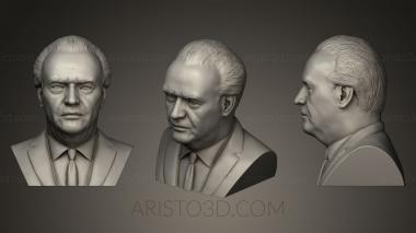 Busts and bas-reliefs of famous people (BUSTC_0262) 3D model for CNC machine